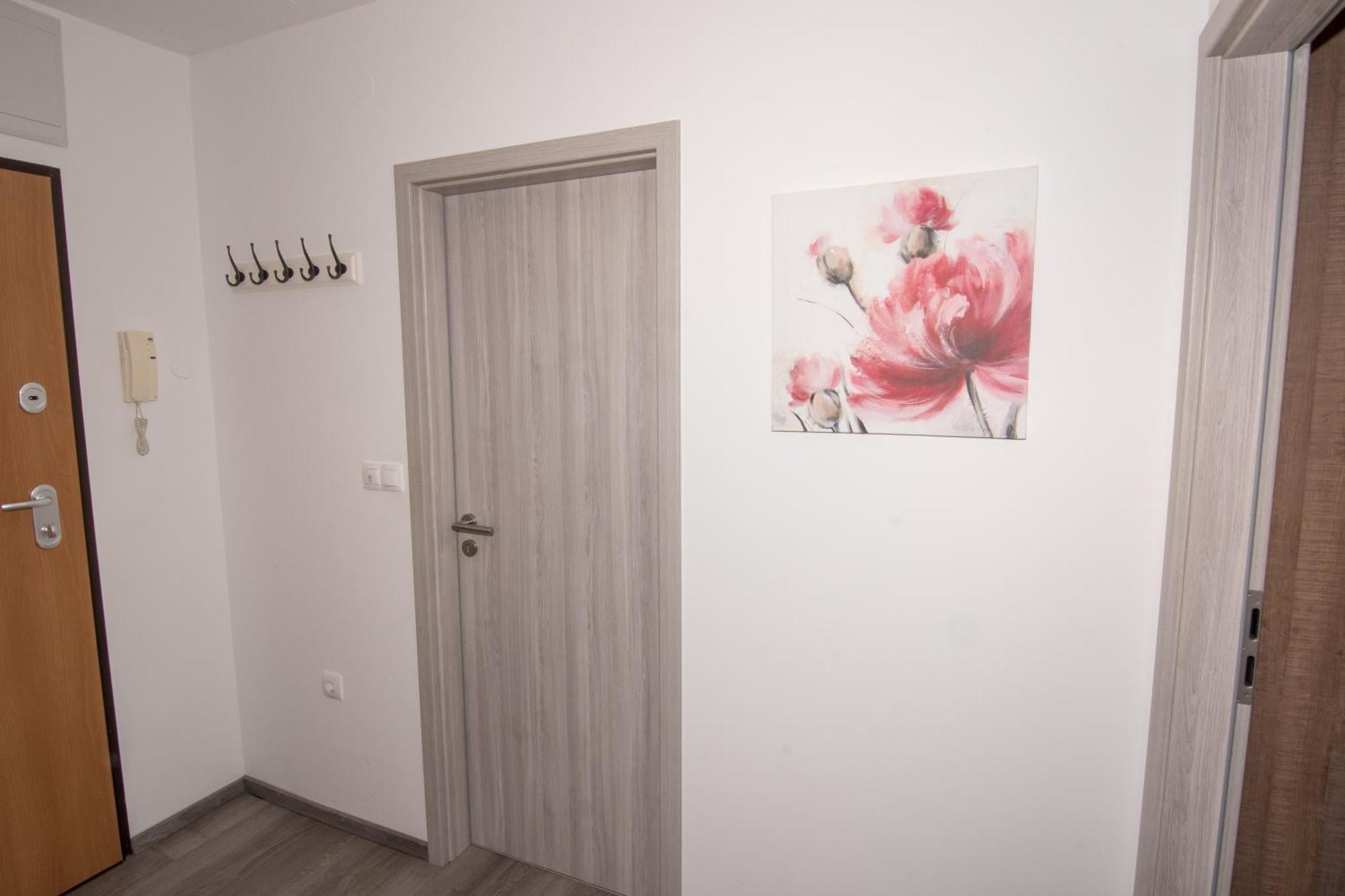 Apartmaji Aida Moravske-Toplice Exterior foto